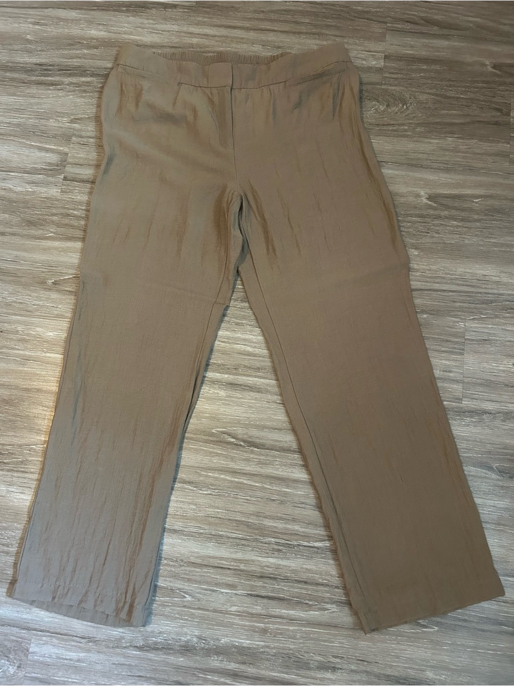 Chico’s Travelers Taupe Pull On Pants Size 2 (US 12 Large)